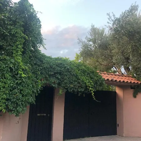 Degaita Aigio